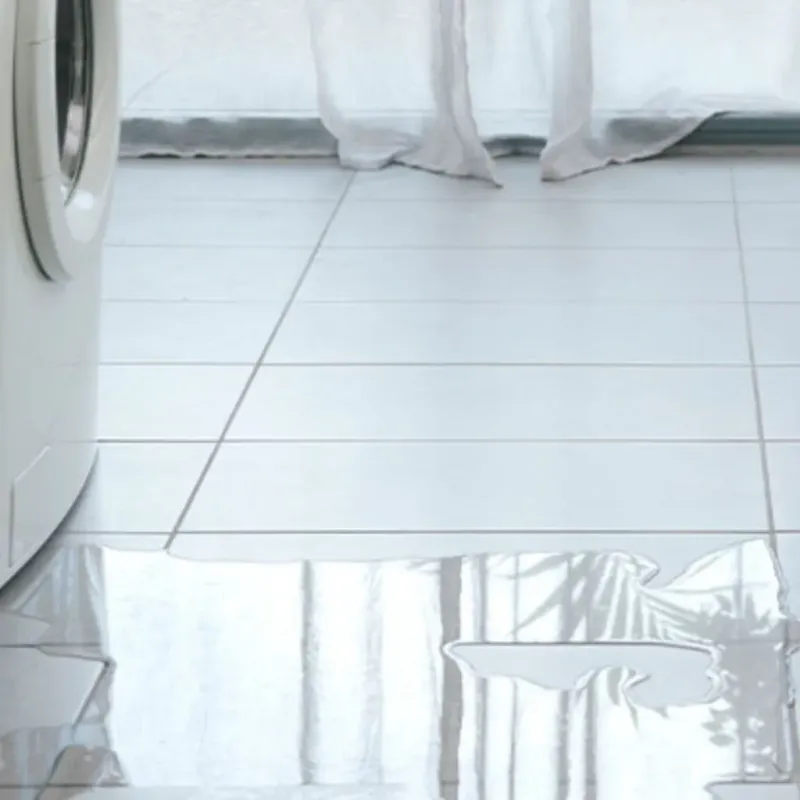 Appliance Leak Cleanup in Ankeny, IA