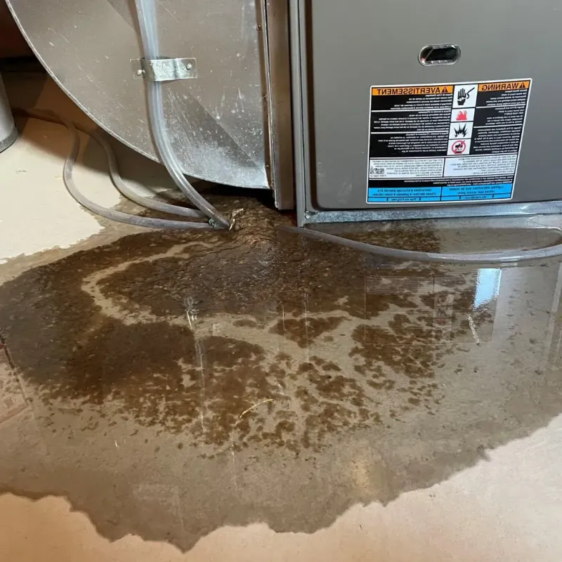 Pipe Burst and Leak Restoration in Ankeny, IA